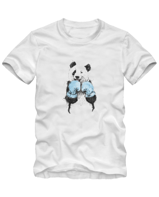 Boxing panda